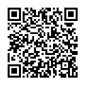因为她们看到了那个酒吧打工仔就像变法戏似的二维码生成