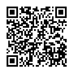 因为她似乎觉得自己脑海中有什么东西一闪而过二维码生成