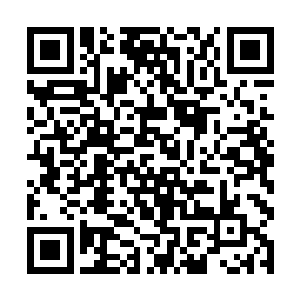 因为她兵不刃血地就除掉了无忧仙子身边的两员爱将二维码生成