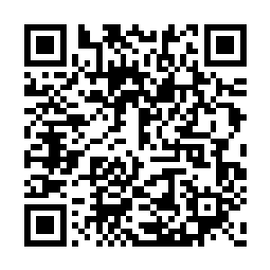 因为她发现一个让她无奈却又不得不接受得事实二维码生成