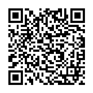 因为她发现了一株朝天草・那是炼制九品仙丹的主药二维码生成