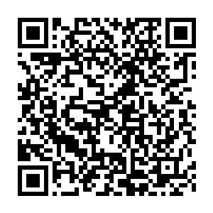 因为她已经习惯了要把很多事情交给下面的助理和机要秘书们去处理二维码生成