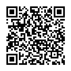 因为她已经看到了兔仙正带着一队天兵走了过来二维码生成