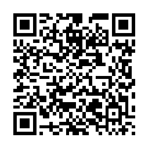因为她已经算到了那些大人物是不会因为这点恩惠就大肆采购的二维码生成