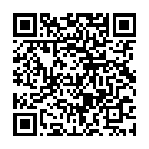 因为她很悲伤地想到自己也和这家伙签了武魂契约二维码生成