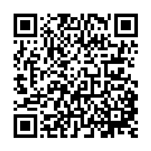 因为她想到了这里既然能够找到一个仙元力相对稳定浓郁的岛屿二维码生成