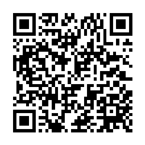 因为她想起父王调查那位小师弟后在密信中所言二维码生成