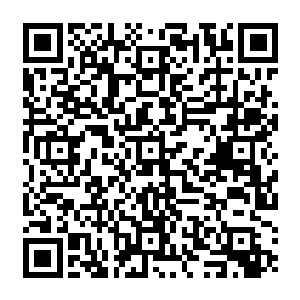 因为她无法说服自己眼睁睁看着这个曾经救过自己的小龟因为去渡化一个魔头而消失二维码生成