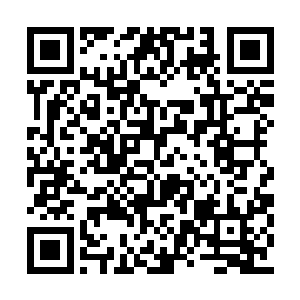 因为她是被剑尘控制还真塔的力量给带离起来的二维码生成