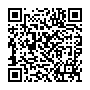 因为她根本就不确定自己是不是能够活过十八岁二维码生成