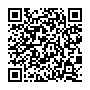 因为她此时已经看出在那条河流之上布设着一道阵法二维码生成