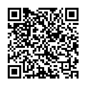 因为她的搭档凤倾城便是军与军之间特种兵交流作战的夺冠王二维码生成