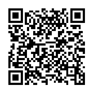 因为她的老公徐磊在部队里一年都不一定回来一次二维码生成