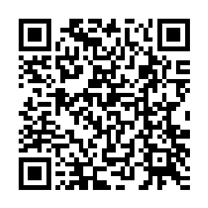 因为她看到了这些突然闯进来的修士在胸前有着一个统一的标志二维码生成