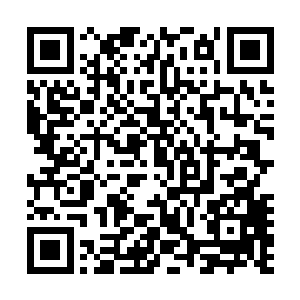 因为她知道恐怕自己就算破解了那道石门上的符箓也没有用二维码生成