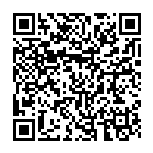因为她突然想起来混乱可是当初仙魔妖三个大能的灵魂融合的产物二维码生成