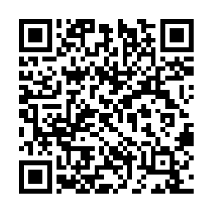 因为她脑海里早就显示出周围一定范围内的小地图二维码生成