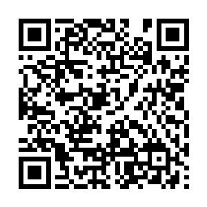 因为她觉得那样会被人关注无法正常的生活和学习二维码生成