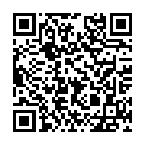 因为她身上穿着的一件白色短袖衬衫被撑的鼓鼓的二维码生成