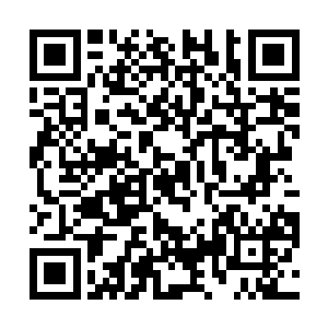 因为她锁定了一只最弱小也是最被忽视的小独角乌烟兽二维码生成