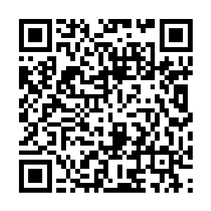 因为如果不是老者告诉了他天启之书出世时的异象二维码生成