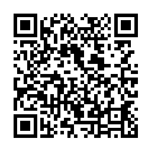 因为如果在他们圣级之间的比拼中再让许紫烟获胜二维码生成