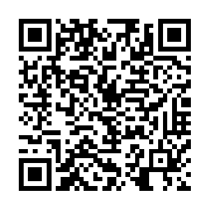 因为娘这次来说起郭家时口气很不满……清哑那样乖巧安静二维码生成