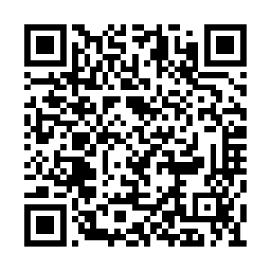 因为孙子轩根本就没有给张天元任何思考的时间二维码生成