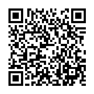 因为孟猊无法预料慕容家族会什么时候对他们下手二维码生成