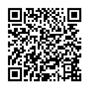 因为季疏云这段时间一直都是对两人采取避而不见的政策二维码生成