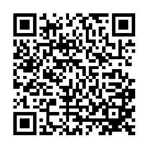 因为宁毅的设定享受不到的武侠戏份本身就要由宁忌来补足的二维码生成