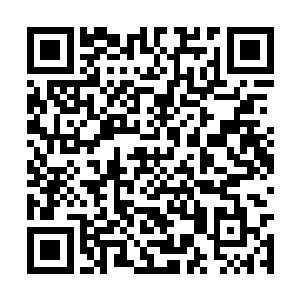 因为它们整个身体除了双翼下的爪子之外都是幻物二维码生成