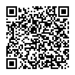 因为它们根本就没有看到雷翅金鹏与楚暮之间的碰撞以及楚暮那一剑二维码生成