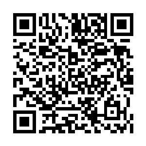 因为它已经从刚才的攻击里发现囚牛也不过如此二维码生成