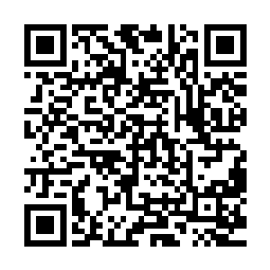 因为它根本就是由气态的龙焰和半固态的妖龙精华凝结而成的二维码生成