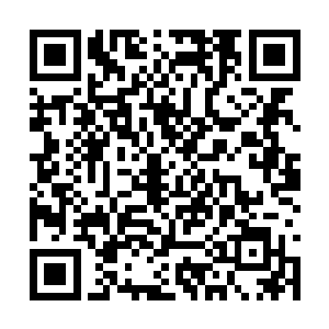 因为它正在吞噬整个山门和前山的整个半山腰仙台二维码生成