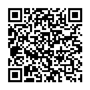 因为它的精神力早就在之前几天的追杀当中消耗光了二维码生成