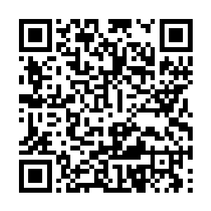 因为家猪的味道根本不是饲养的猪的猪Ｒ可以比的二维码生成