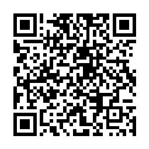 因为家里唯一一间有床的卧室直接就被李倩占据了二维码生成