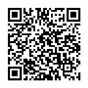 因为家里还有俩舍命不舍财的人需要他去慢慢做工作二维码生成