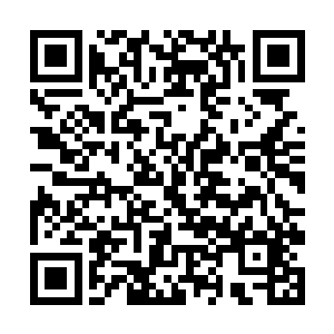 因为富有律师的死亡已经引起了所有新闻媒体的注意二维码生成