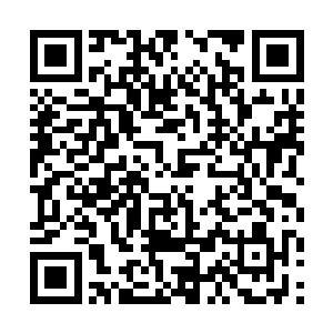 因为对方被夏天和兰苑两人的连击给打的完全蒙圈了二维码生成