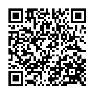 因为对方运来说给自己和杨玉环各留一把便足够二维码生成