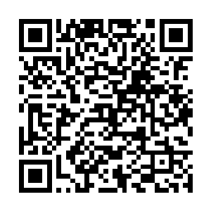 因为对方那恐怖的箭术也给他们带来了巨大的压力二维码生成