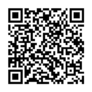 因为封地内的藩王及其子孙仆役都是他们这些藩民养着的二维码生成