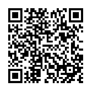 因为小花猜到了就是这一只蝙蝠救了之前自己要宰的贺箭二维码生成