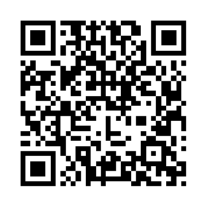 因为小p的车今天是年检的最后一天二维码生成