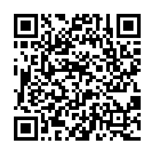 因为就在刚才杨戬也发现了一个令他十分震惊的秘密二维码生成