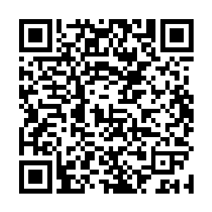 因为就算是五级虫族最多也就只能在虫黄里面待十秒钟二维码生成