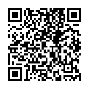 因为就连那四位皇级炼药师也拿这些残缺的药方没有办法二维码生成